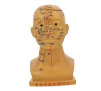 Beaupretty Tête pour Acupuncture Massage Outil Pédagogique Qualité pour Enseignement Points Acupuncture Démonstrations de Santé