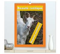 Beauté rustique Regards animaliers (Calendrier mural 2026 DIN A2 horizontal) calendrier de bureau: Des portraits d'animaux d'élevage mettant en valeur leur caractère unique.