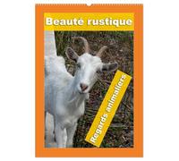 Beauté rustique Regards animaliers (Calendrier mural 2026 DIN A2 horizontal), CALVENDO calendrier mensuel: Des portraits d'animaux d'élevage mettant en valeur leur caractère unique.