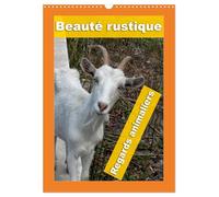 Beauté rustique Regards animaliers (Calendrier mural 2027 DIN A3 horizontal), CALVENDO calendrier mensuel: Des portraits d'animaux d'élevage mettant en valeur leur caractère unique.
