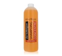 Beautélive les techniques, shampoing concentré 1000ml G