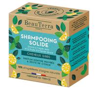 Beauterra Shampoing Solide Cheveux Gras 75g