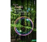 Beautés de l'éphémère: Apologie des bulles de savon