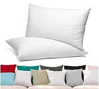 BEAUTEX Lot de 2 taie d'oreiller, Housse de Coussin en Coton peigné, Jersey Premium 160g/m², Taille et Couleur au Choix (80x80 cm, Blanc)
