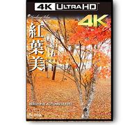 Beautiful Autumn Leaveshealingblue4k 3840×2160 Pixel [Blu-Ray]