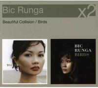 Beautiful Collision/Birds