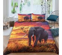 Beautiful Colorful Coucher de Soleil Parure De Lit En Microfibre Éléphants on The Savannah Ensemble De Housse Couette Imprimé 3D Taie D'oreiller,Pour Adultes Enfants Filles Garçon Double（200x200cm）
