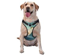 Beautiful Fairy Tale Rendering Harnais pour chien de petite, moyenne et grande taille - Durable, ne tire pas avec sangles réfléchissantes et boucles à dégagement rapide Taille L