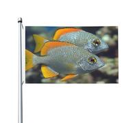 Beautiful Fish Drapeau double face de 0,9 x 1,5 m - Bannière robuste d'extérieur et de jardin, parfaite pour chambre à coucher et jardin