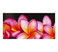 BEAUTIFUL FLOWERS G1134 PINTDECOR panel