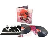 Beautiful Garbage (20th Anniversary Edition) Vinyle