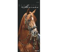 Beautiful Horses 2025 - Foto-Kalender - Wand-Kalender - 30x70: Wild und Schön