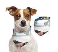 Beautiful House in The Morning Écharpe pour animal domestique - Bandanas printemps été en coton doux - Accessoires réglables pour petites, moyennes et grandes, filles, garçons, chiots - Taille L