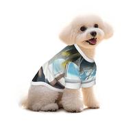 Beautiful House in The Morning T-shirt pour chien et chat - Gilet pour animal de compagnie et débardeur élastique - Pull mignon et respirant - Taille M