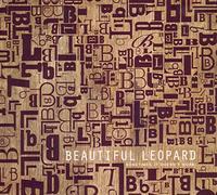 Beautiful Leopard - Sometimes It Doesn't Work [Import]