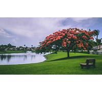 Beautiful Natural Scenery Diy 5D Diamond Painting By Number Unique Kits Home Wall Decor Crystal Rhinestone Wall Decor 30x40cm