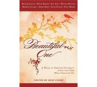 Beautiful One by Beni JohnsonHeidi BakerSue Ahn Johnson, Beni, Baker, Heidi, Ahn, Sue (Auteur)