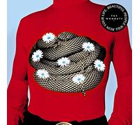 Beautiful People Will Ruin Your Life [Import]