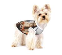 Beautiful Pylons in the Distance Petit gilet en coton pour chien Taille S - Respirant, confortable, élégant vêtement pour animaux de compagnie