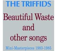 Beautiful Waste and Other Songs: Mini Masterpieces 1983-1985