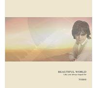 Beautiful World: Like You Always Hoped for