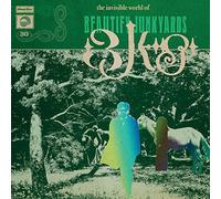 Beautify Junkyards - The Invisible World of Beautify Junkyards [Import]