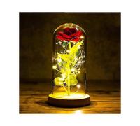 Beauty And The Beast Rose, Eternal Rose In Glass Rose In Glass Dome Artificial F