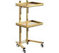 Beauty Cart Chariot à outils roulant avec plateau de rangement à 2 niveaux pour salon, spa, clinique et usage domestique