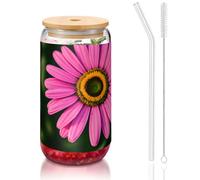 Beauty Daisy 1 verre à boire avec couvercles et paille en verre, 1 tasse en verre de 473,6 g, verres à bière, verres à café glacé