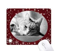Beauty Gift Animal Pure Photographie Photo Chat Gris Tapis de Souris en Hiver Flocon de Neige