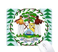 Beauty Gift Belize emblème National Pays Tapis de Souris Green Pine Tree Tapis en Caoutchouc