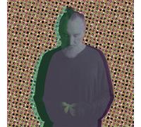 Fink - Beauty in Your Wake (Acoustic) (Black Vinyl Lp)