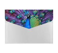Beauty Peacock Organiseur de documents en accordéon à 6 poches avec étiquettes et enveloppes en plastique avec fermeture à pression 33 x 23 cm