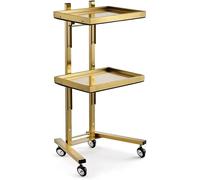 Beauty Salo Trolley Cart O Wheels,Chariot Rollig en Métal à 3 Niveaux,Acier Inoxydable Salo Rangement Stad avec Roues Chariot Plateau Chariot De Rangement Kitche Chariot De Rangement, Gold