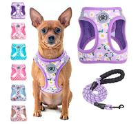 BEAUTYZOO Ensemble de harnais et laisse pour chien à motif floral réfléchissant, XXS, violet, anti-traction, anti-étranglement, lavable en machine, visibilité en basse lumière et ajustement sécurisé