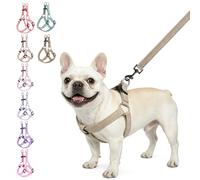 BEAUTYZOO Ensemble harnais et laisse en lin anti-traction pour chiens de petite, moyenne et grande taille, gilet souple anti-fugue avec double anneau en D pour la marche, la course à pied, le dressage