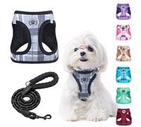 BEAUTYZOO Ensemble harnais et laisse pour petit chien, harnais anti-traction en maille souple réfléchissante pour chiots et chats de très petite/petite et moyenne taille, gilet à carreaux pour animaux
