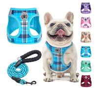 BEAUTYZOO Small Dog Harness and Leash Set,Step in No Choke No Pull Soft Mesh Dog Harnesses Reflective for Extra-Small/Small Medium Puppy Dogs and Cats, Plaid Dog Vest Harness for XS S Pets, Blue L