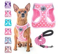 BEAUTYZOO Step in Ensemble harnais et laisse pour chien et chat - Motif à pois - Réfléchissant - Ne tire pas et ne s'étouffe pas - Pour chiens et chats - Harnais en maille rembourrée douce pour