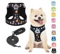 BEAUTYZOO Step in Ensemble Harnais et Laisse réfléchissant, Anti-Traction, Anti-étranglement pour Chiens et Chats de Petite et Moyenne Taille, Harnais en Maille rembourrée Douce pour Animaux de