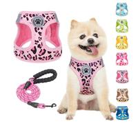 BEAUTYZOO Step in Ensemble harnais et laisse réfléchissant, anti-traction, anti-étranglement pour chiens et chats de petite et moyenne taille, harnais en maille rembourrée douce pour animaux de