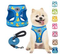 BEAUTYZOO Step in Ensemble harnais et laisse réfléchissant, anti-traction, anti-étranglement pour chiens de petite, moyenne et grande taille, harnais en maille rembourrée douce pour animaux de