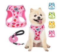 BEAUTYZOO Step in Ensemble harnais et laisse réfléchissant, anti-traction, anti-étranglement pour chiens de petite, moyenne et grande taille, harnais en maille rembourrée douce pour animaux de