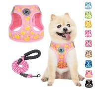 BEAUTYZOO Step in Ensemble Harnais et Laisse réfléchissant, Anti-Traction, Anti-étranglement pour Chiens et Chats de Petite et Moyenne Taille, Harnais en Maille rembourrée Douce pour Animaux de