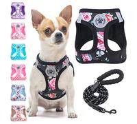 BEAUTYZOO Step in Ensemble Laisse pour Chien, Motif Floral, réfléchissant, Anti-Traction, Anti-étranglement pour Animaux de Compagnie, Gilet en Maille rembourrée Douce pour Chiens et Chats Filles et