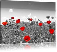 beaux coquelicots rouges brillants noir / blanc Taille: 120x80 sur toile, XXL énormes Photos complètement encadrées avec civière, impression d'art sur murale avec cadre, moins cher que la peinture ou une peinture à l'huile, pas une affiche ou une bannière,