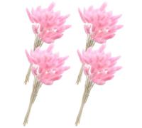 Beavorty 60 Queues de Lapin Fleurs Séchées Naturelles, Bouquet Décoratif Rose 60 Pièces, Herbe à Queue de Lapin pour Décoration Mariage, Composition de Fleur Maison, Ornement de Table