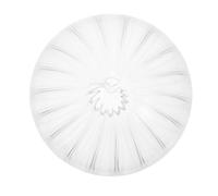 Beavorty Abat-jour en Verre Borosilicate Transparent Rayé pour Douille G9, Diamètre 100 Mm, Diamètre du Tube 22 Mm, Remplacement Globe Lampe pour Suspensions et Lampes de Bureau