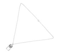 Beavorty Collier De Flacon De Sang Pendentif Dinosaure Colliers D'urne De Chien Pour Les Cendres Urnes Pour Animaux De Compagnie Collier De Chien Un Verre Silver
