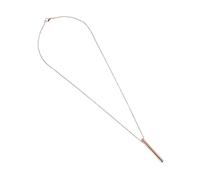 Beavorty Collier Souvenir Cendres Pendentif Commémoratif à Porter Au Cou Récipient Pour Cendres De Proches